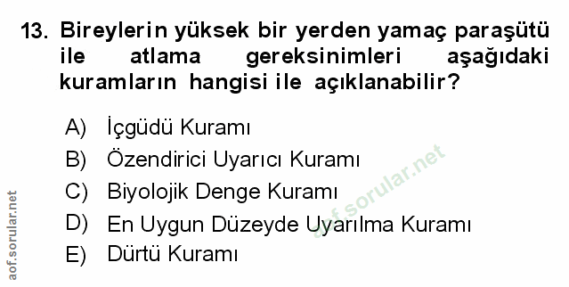 Soru 13