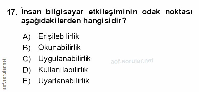 Soru 17