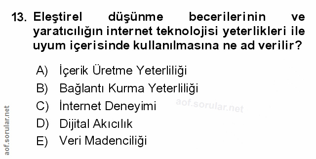 Soru 13