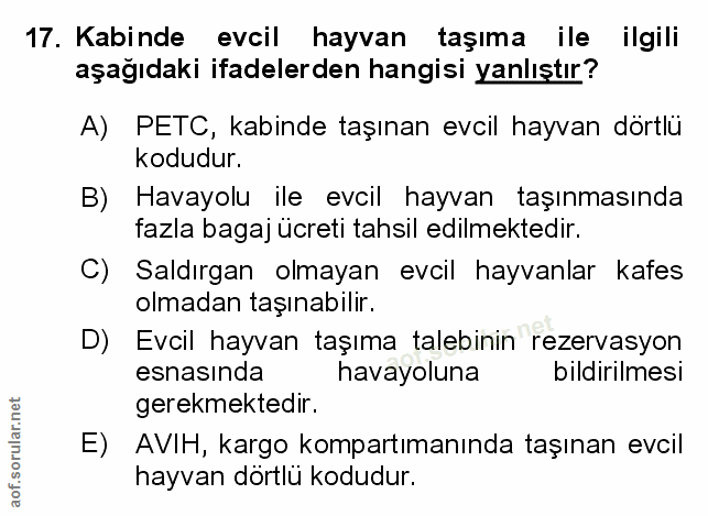 Soru 17