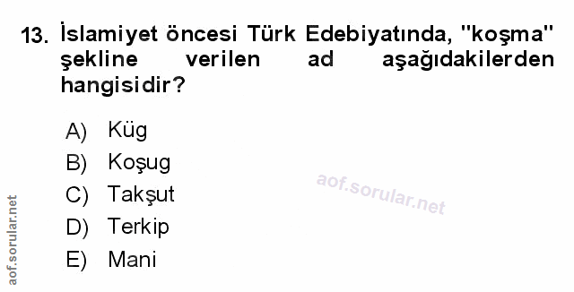 Soru 13