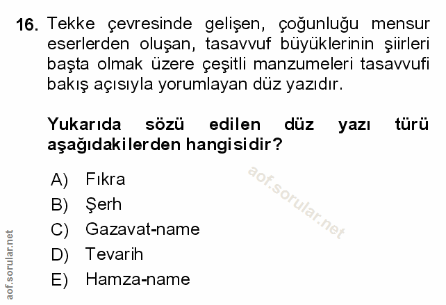 Soru 16