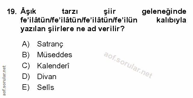 Soru 19