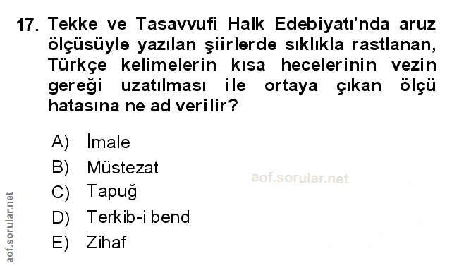 Soru 17