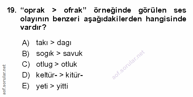 Soru 19