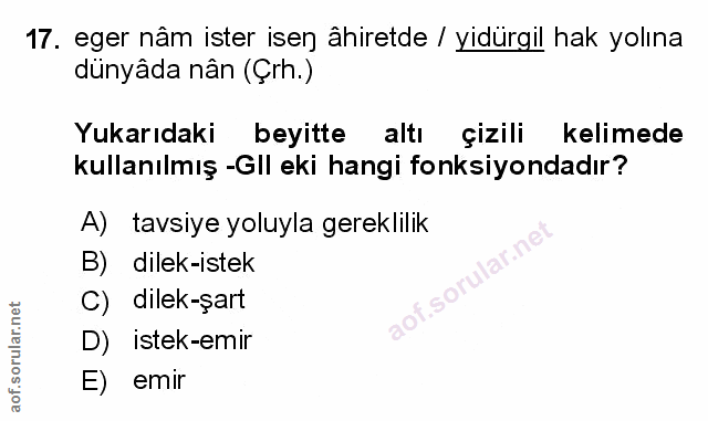 Soru 17