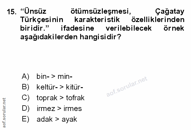 Soru 15