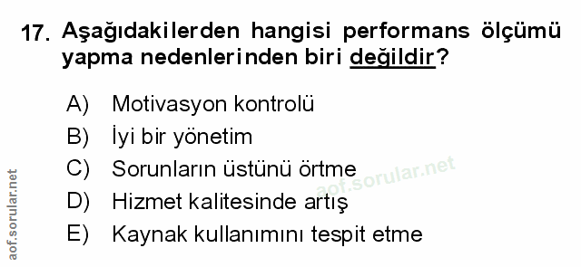 Soru 17