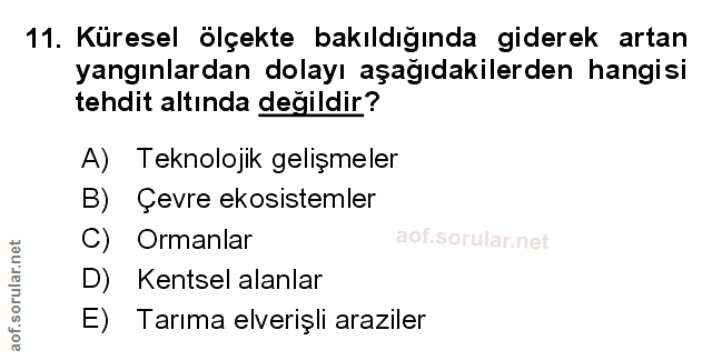 Soru 11
