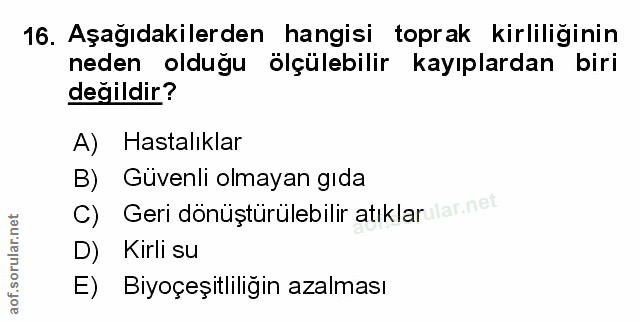 Soru 16