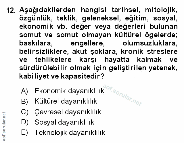 Soru 12