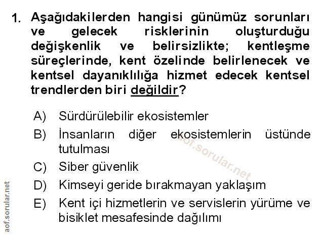 Soru 1