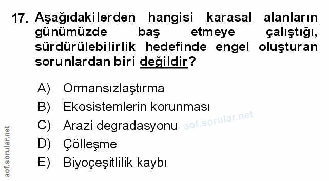 Soru 17
