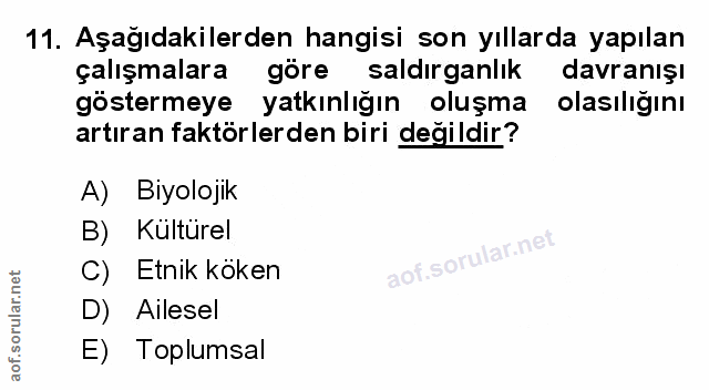 Soru 11