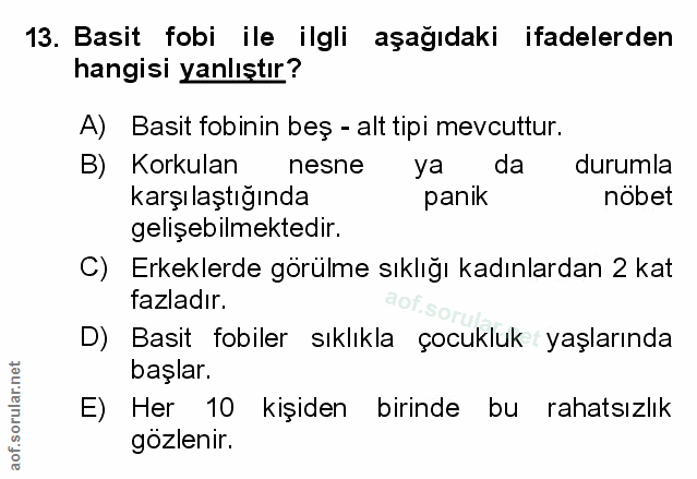 Soru 13