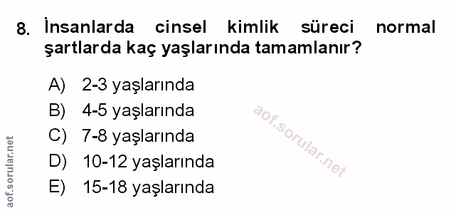Soru 8