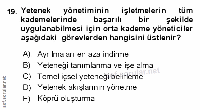 Soru 19