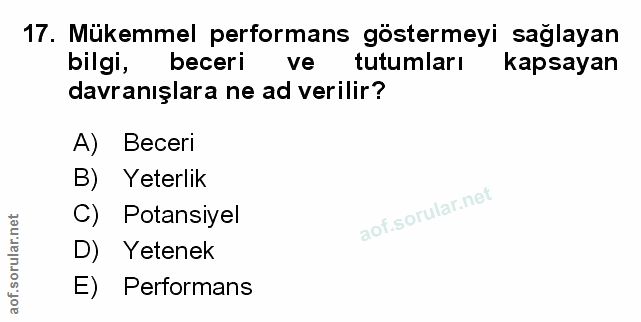 Soru 17