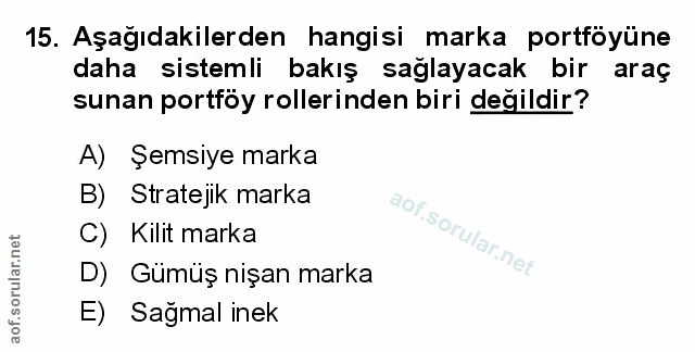 Soru 15