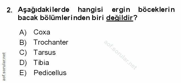 Soru 2