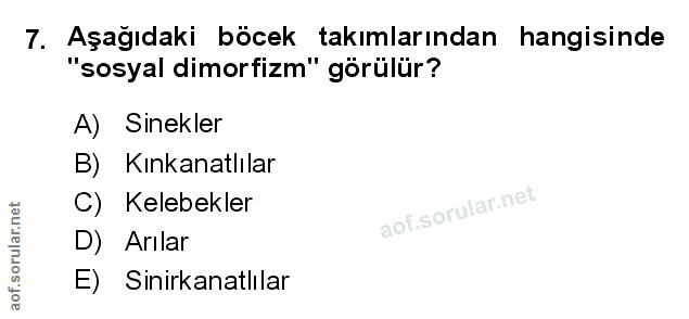 Soru 7