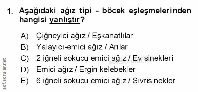 Soru 1