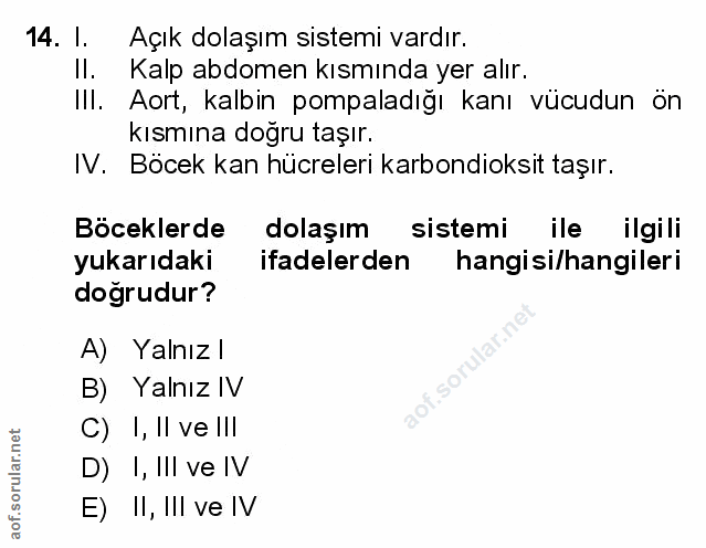 Soru 14