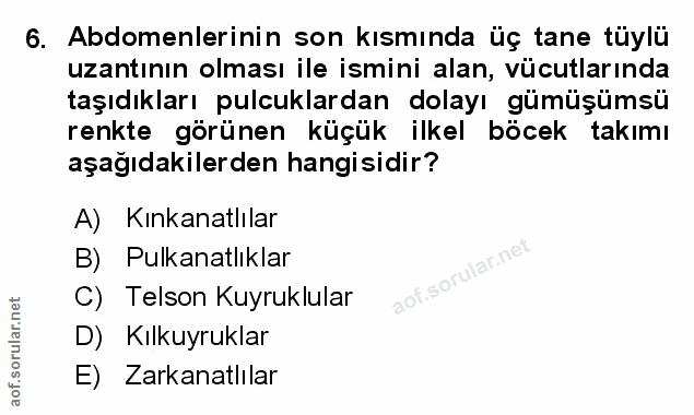Soru 6