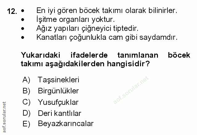 Soru 12