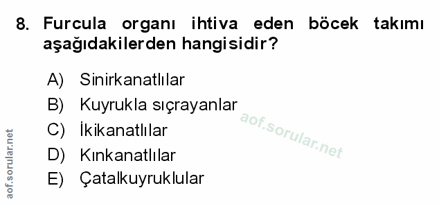 Soru 8