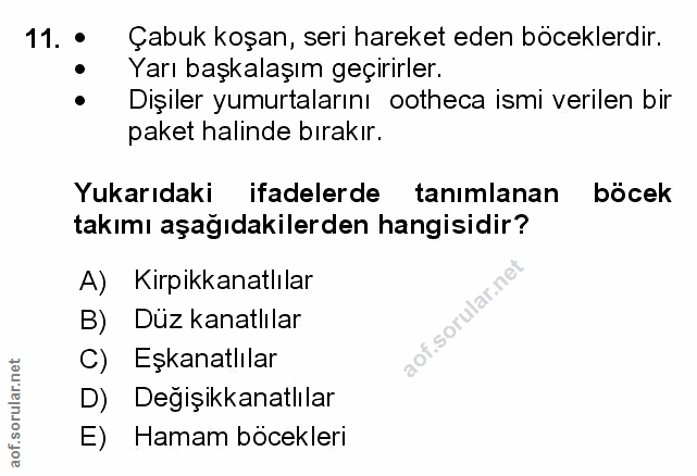 Soru 11
