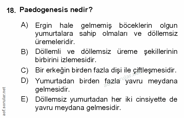 Soru 18