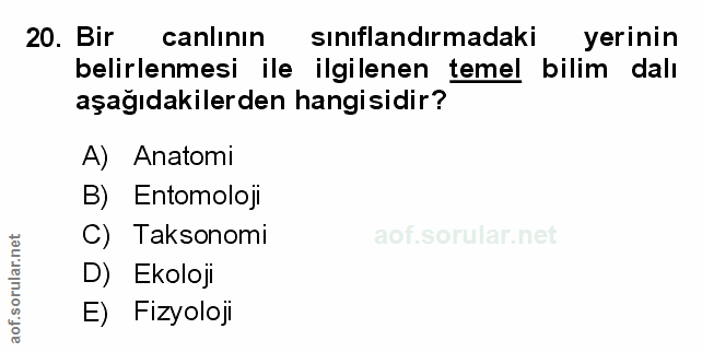 Soru 20