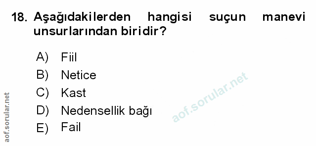 Soru 18