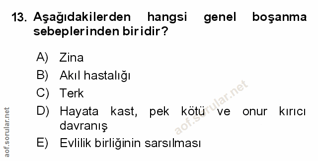 Soru 13