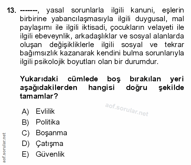 Soru 13