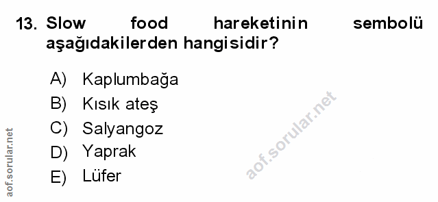 Soru 13