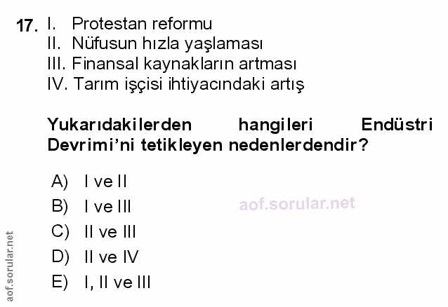 Soru 17