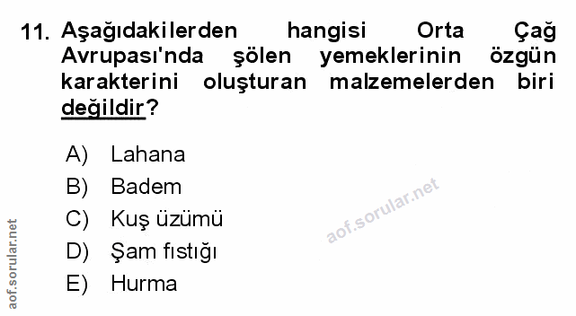 Soru 11