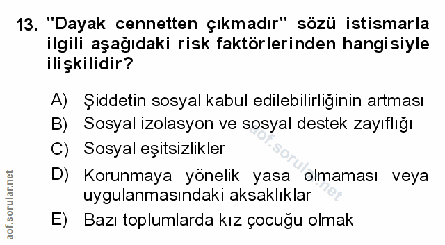 Soru 13