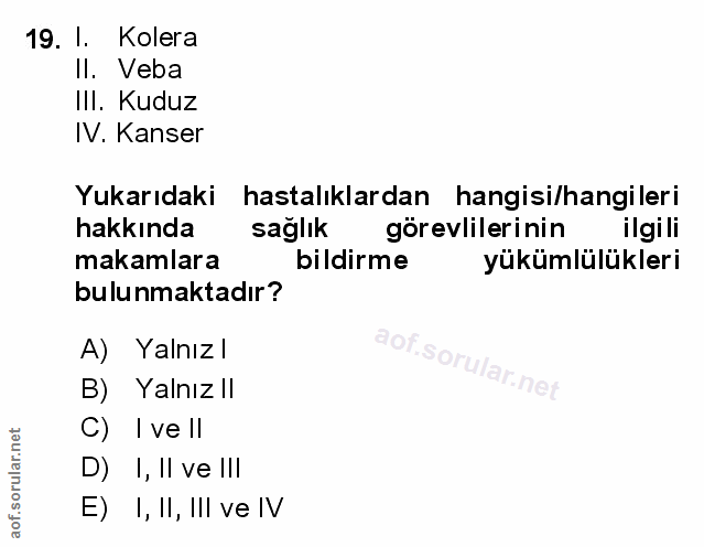 Soru 19