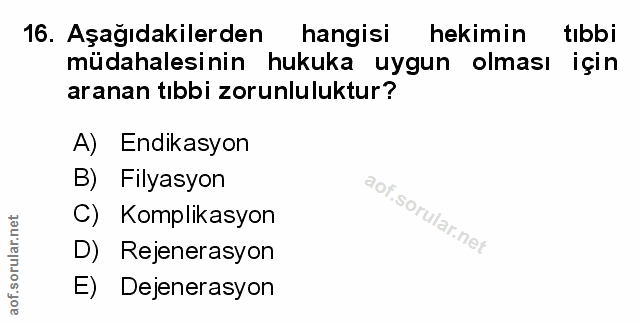 Soru 16