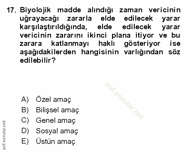 Soru 17