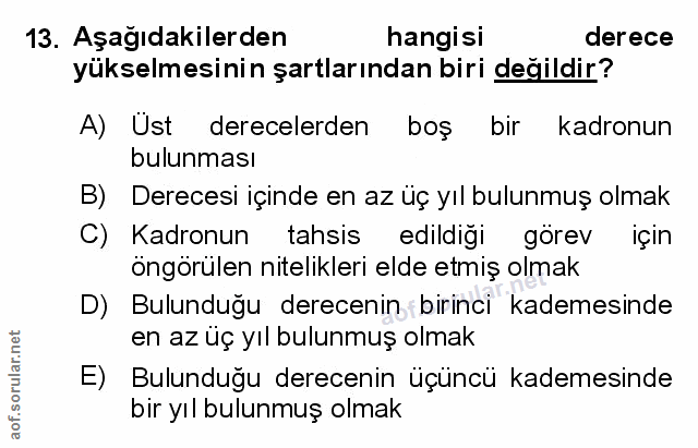 Soru 13