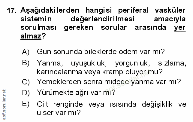 Soru 17