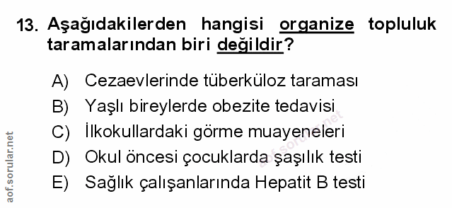 Soru 13