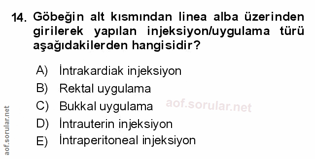 Soru 14