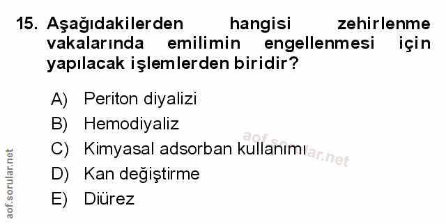 Soru 15