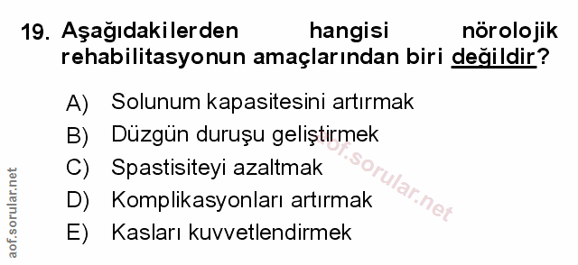 Soru 19