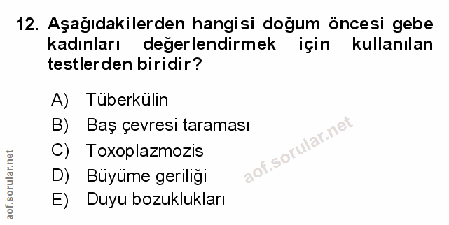 Soru 12